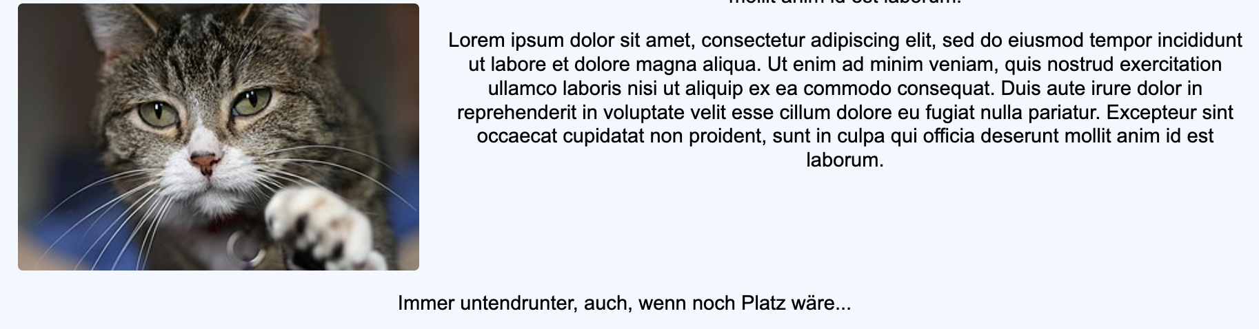 css clear both